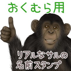 Okumura Monkey's real name Sticker