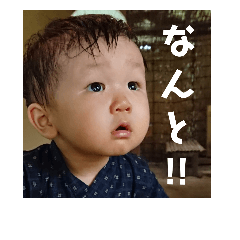 IORIstamp.2