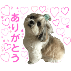 yuki12345