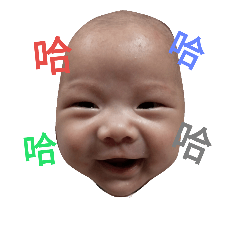 宸弟的日常生活