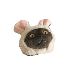 nyan's tm