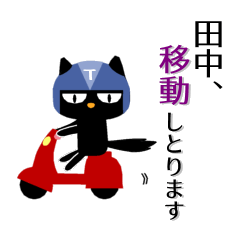 Black cat "Tanaka"