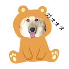 I LOVE ponta