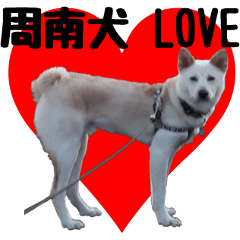 SYUNAN DOGs LOVE