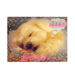 maruchi.stamp