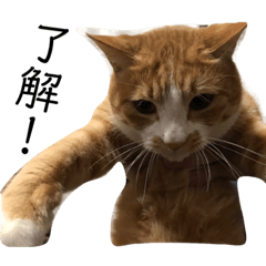 yuto.cat