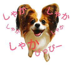 papillion MERU