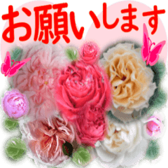 Greetings message of the Rose blooms
