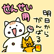 Fat cat / teacher