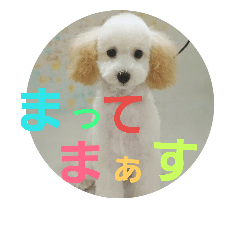 fuku&yuzu  2