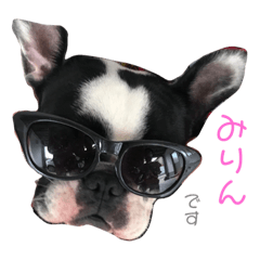 My pet us