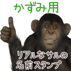 Kazumi Monkey's real name Sticker