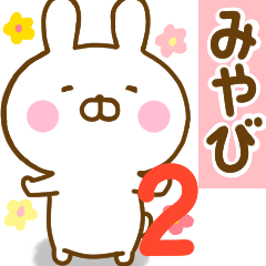 Rabbit Usahina miyabi 2