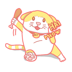 Boy si kucing Chubby