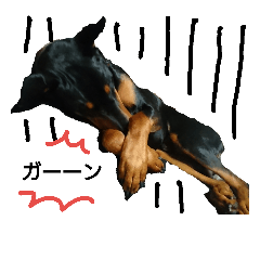 dobermann ginrai 2