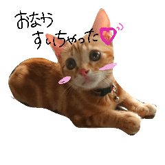 nyan2LIFE
