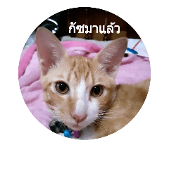 Zugus na - LINE スタンプ | LINE STORE
