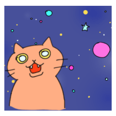 crazy space cat