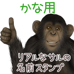 Kana Monkey's real name Sticker