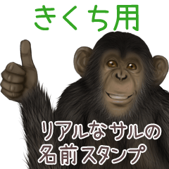 Kikuchi Monkey's real name Sticker