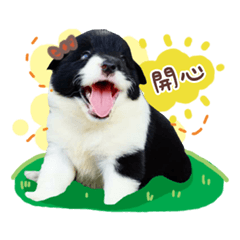 Bino的日常生活