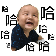 Tang Tang bao