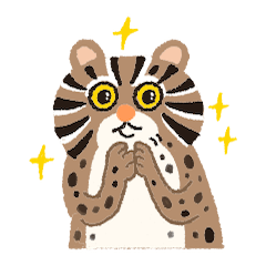 Taiwan Leopard Cat Wuowuo