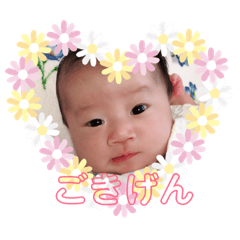 sairi.