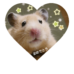 Stamp of Kinkuma hamster mimosa 2