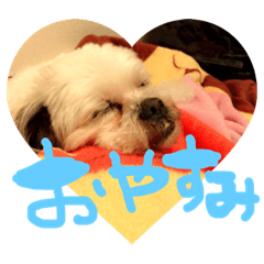 mikku39