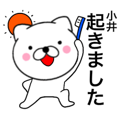 Large character cat Koi