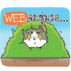 WEB cheeky cat e