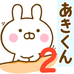 Rabbit Usahina akikun 2