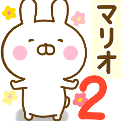 Rabbit Usahina Mario 2