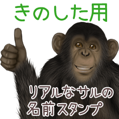 Kinoshita Monkey's real name Sticker