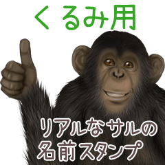 Kurumi Monkey's real name Sticker