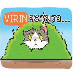 VIRIN cheeky cat e