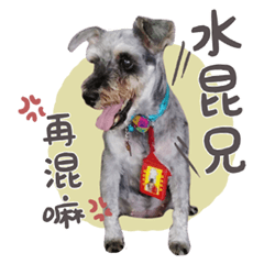 阿呆的精彩日記
