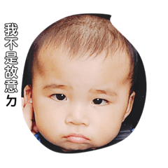 我家可愛的寶貝