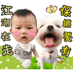 貪吃寶-柚子底迪