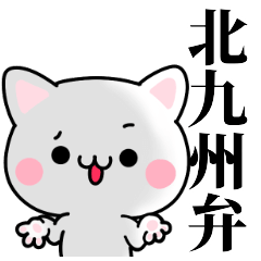 tanuchan Kitakyushu cat