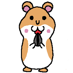 Ham-chan 1