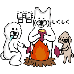 韓国語と日本語を話す柴犬と仲間たち 秋