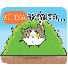 KITIYA cheeky cat e