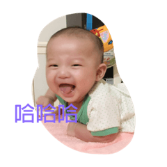 愷愷愛玩