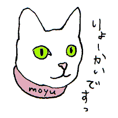 For Moyu (cat)