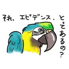 "ishiki-takai-kei" parakeets