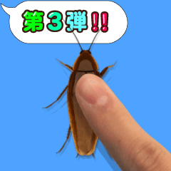 Cockroach on the smartphone 3