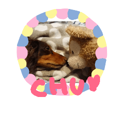 Marron's happy life