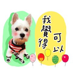 我的七小福